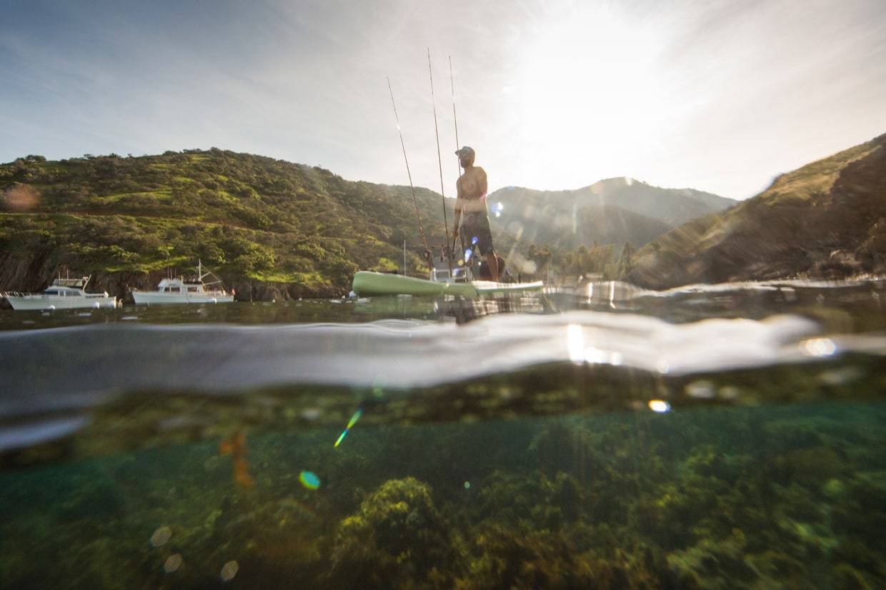 BOTE Presents // Catalina