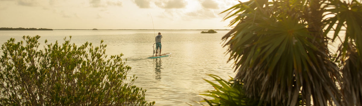 Person fishing from paddle board on tranquil water framed by palm trees.