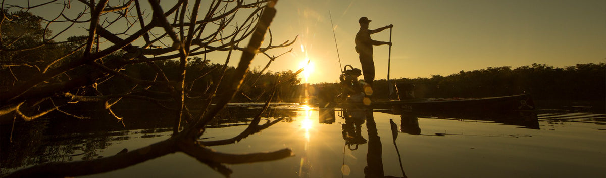 Person paddle boarding at sunrise with golden light reflecting on calm water and trees.