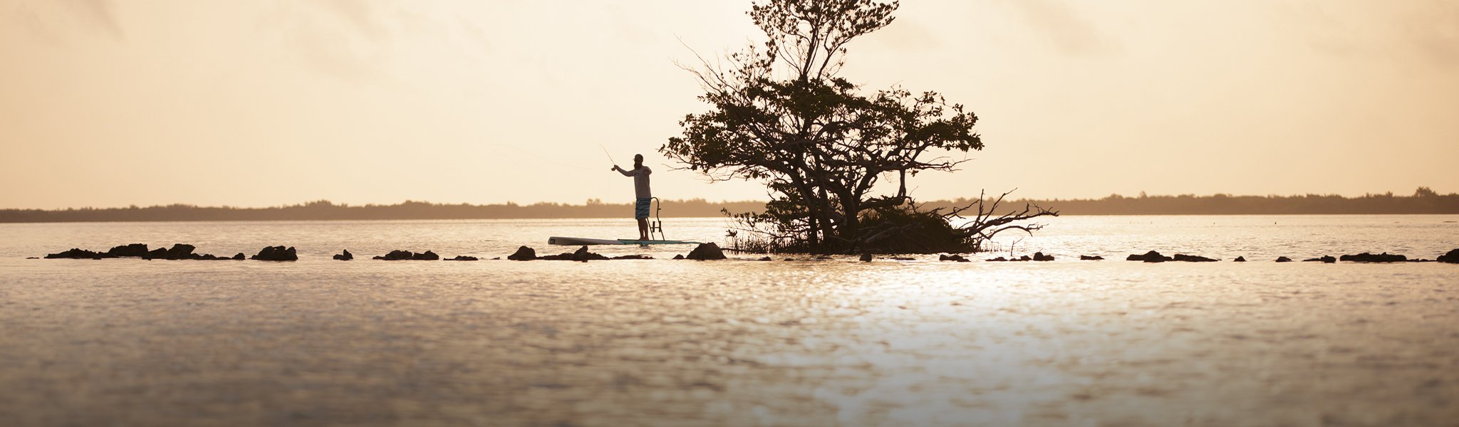 Person fishing from paddle board near a small tree island at sunrise.