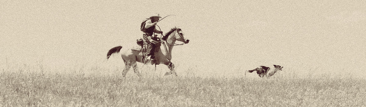 Sepia photo of cowboy riding horse across open field following a running dog.