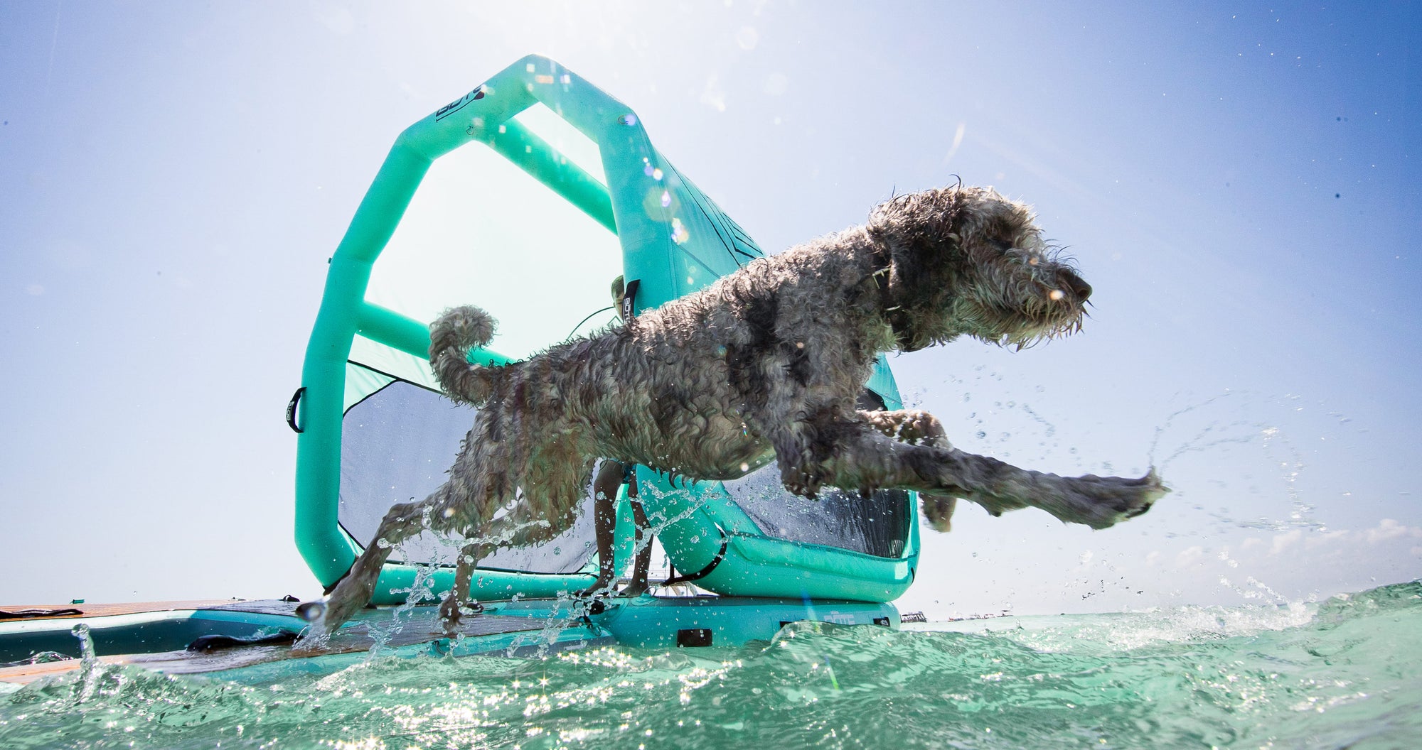 Close up of a dog jumping in the water off the deck of an inflatable floating platform with inflatable shade canopy attached.